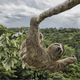 Image: Wildlife Photographer of the Year / Luciano Candisani